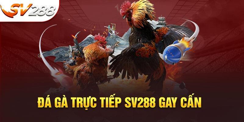 Đánh giá về chất lượng dịch vụ của SV288