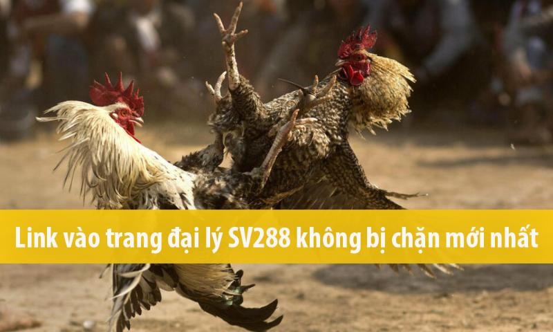 Link vào SV288 mới nhất không bị chặn