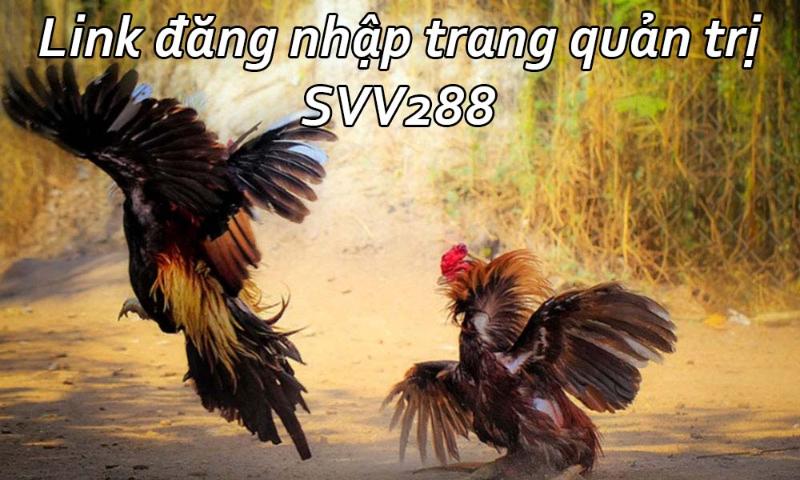 Cách truy cập vào SV288 khi link bị chặn