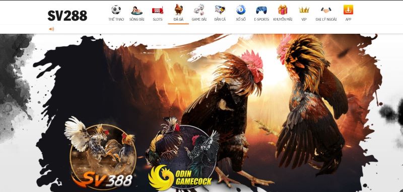 Đá Gà Campuchia SV288