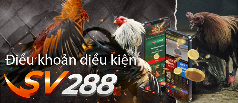 Điều khoản điều kiện SV288