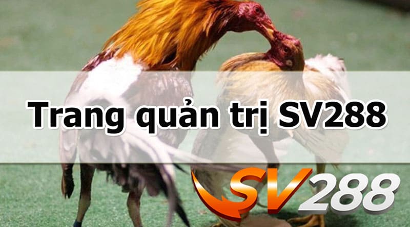 Quyền riêng tư SV288 về thu thập thông tin