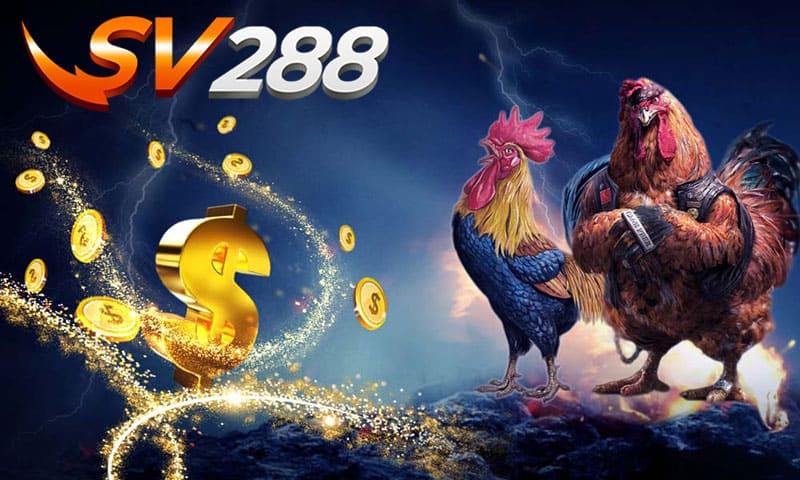 Thể hiện sự uy tín SV288