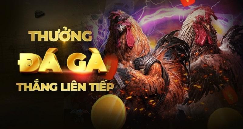 Tải app sv288 cho hệ điều hành Android