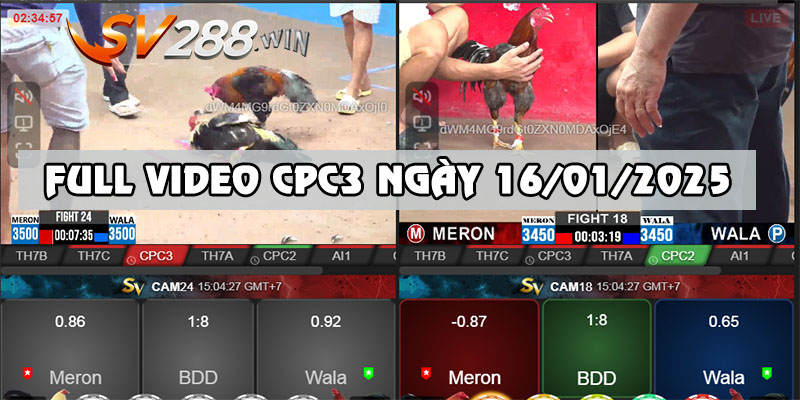 Tổng hợp video các trận đấu bồ CPC3 ngày 16/01